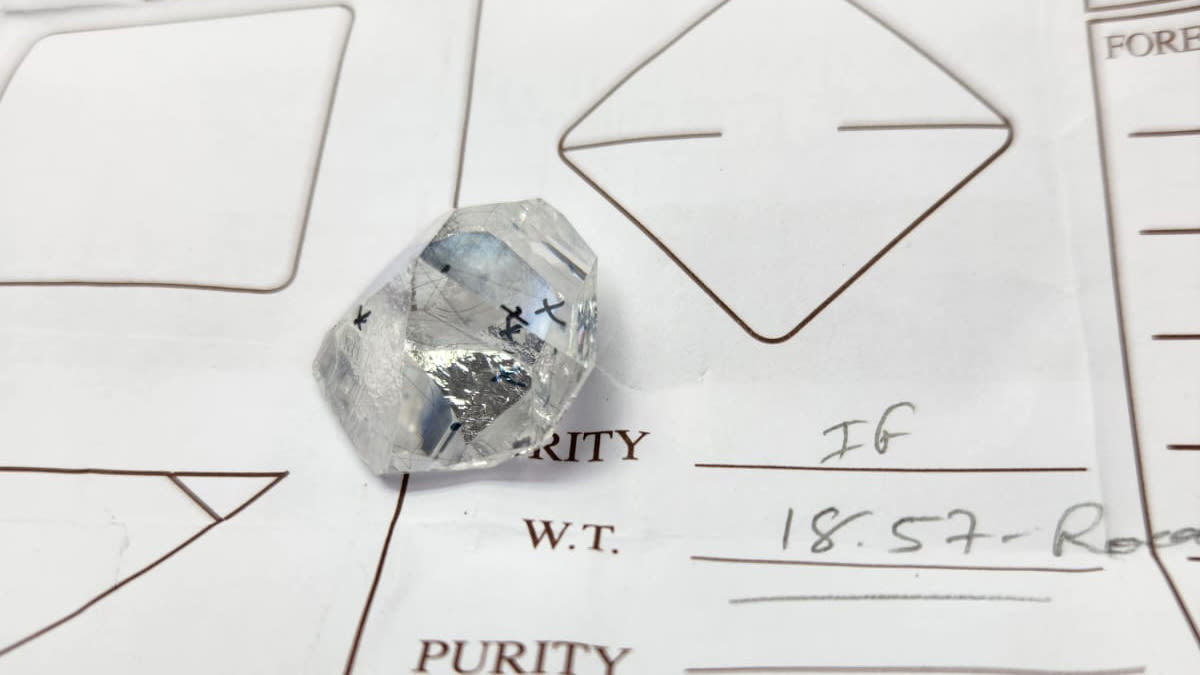 Img 20240718 Wa0016 kärbitud