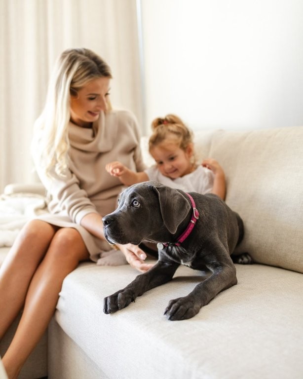 Koer Linea Mare hotellis