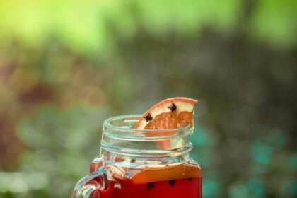 Mõisahoone Spa talvine tee