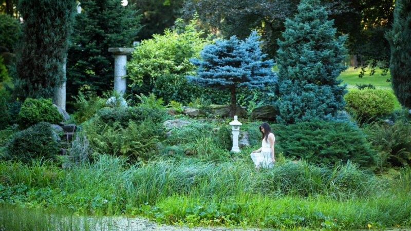 M&otilde;isapargi meditatsiooniaed