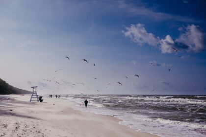 Talvised jalutuskäigud mere ääres Linea Mare