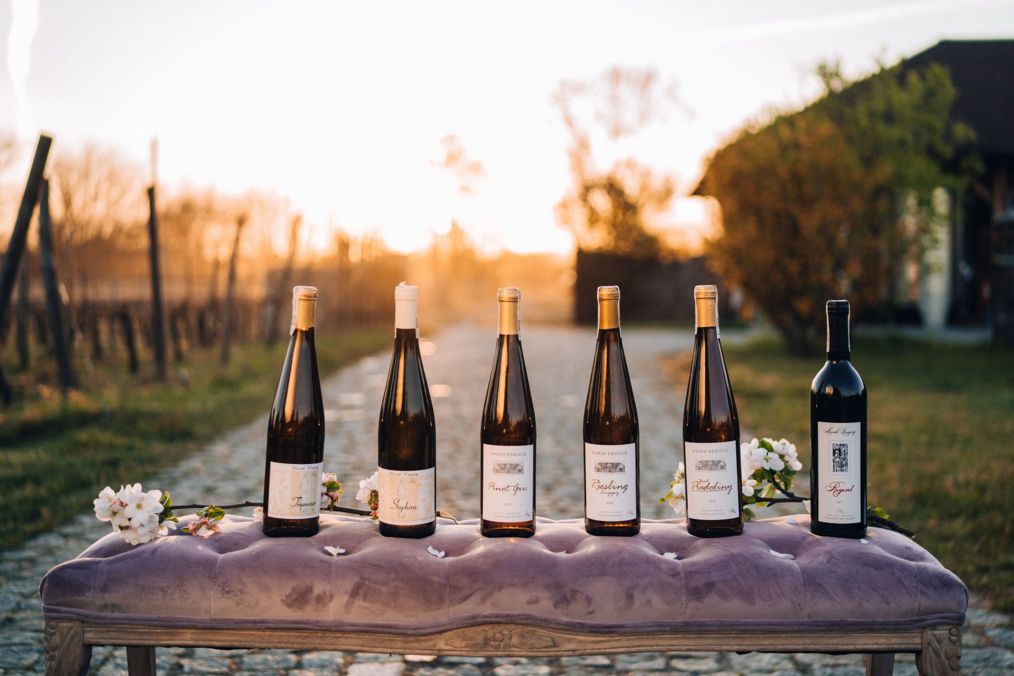 Viinamarjaistandused Zielona Góras