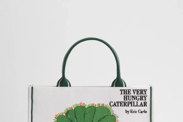 Dior Book Tote Kui Raamat Saab Moeks